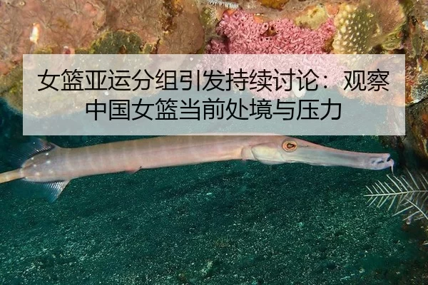 女篮亚运分组引发持续讨论:观察中国女篮当前处境与压力