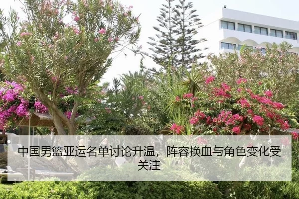 中国男篮亚运名单讨论升温,阵容换血与角色变化受关注